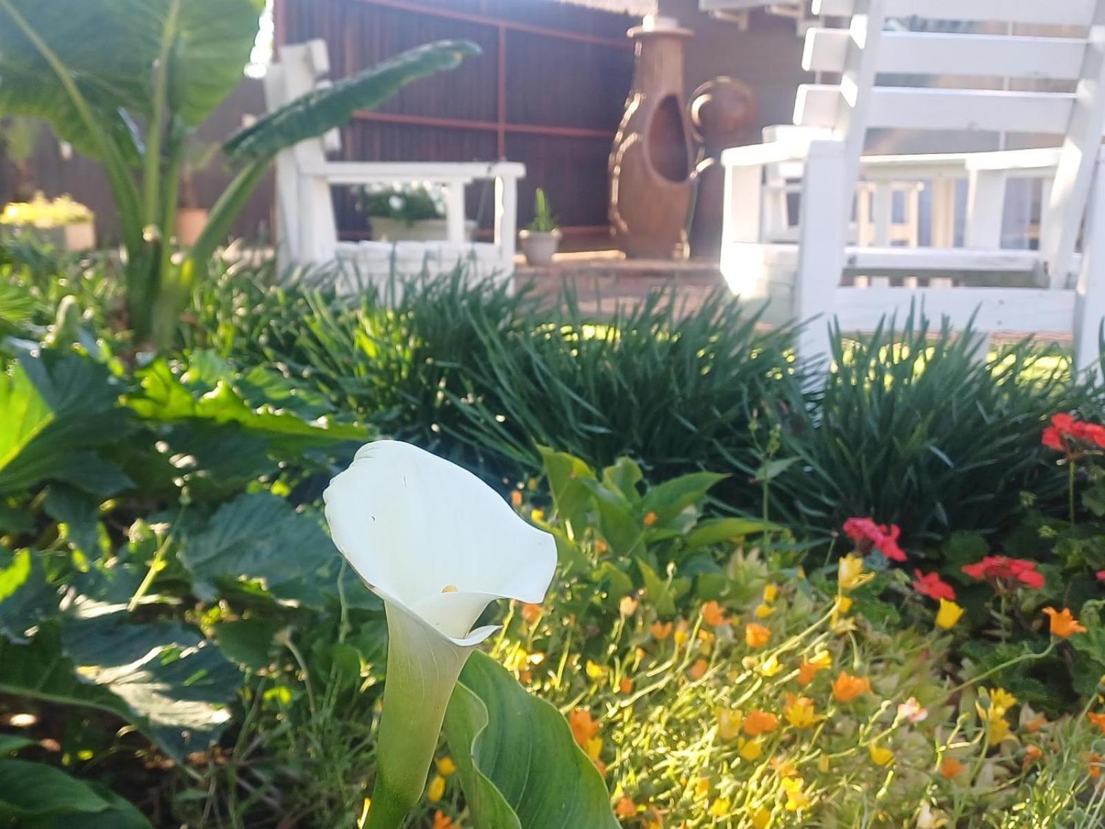 Ceelee'S Place Bloemfontein Zewnętrze zdjęcie