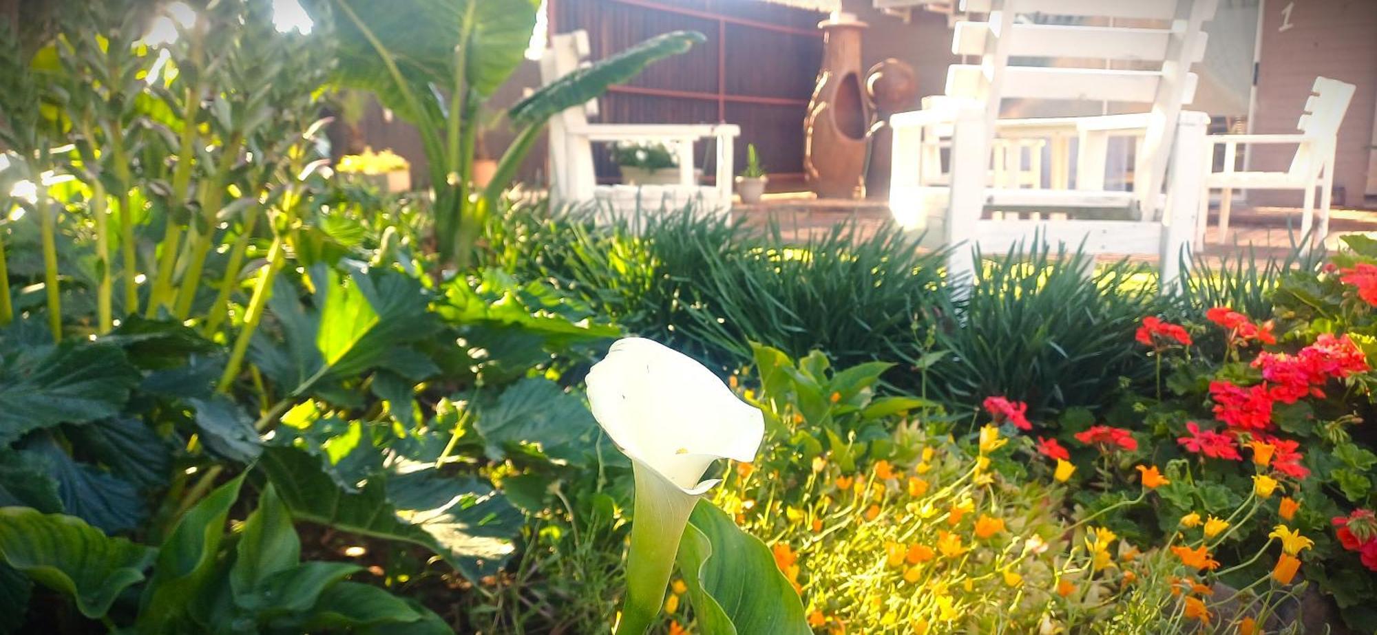 Ceelee'S Place Bloemfontein Zewnętrze zdjęcie